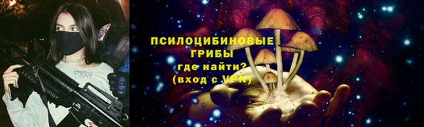 Альфа ПВП Касимов